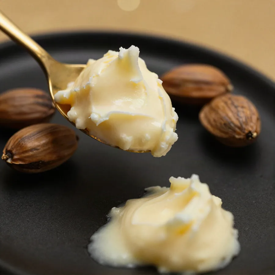Ivory shea butter on a gold spoon with whole shea nuts